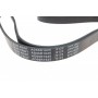 Ремінь генератора Opel Astra 1.7CDTI 04-10/ Subaru Outback/ Tribeca 3.0-3.6 05-/ VW Passat 3.2 05-10