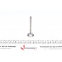 Клапан (впуск) Smart Cabrio/City-Coupe/Fortwo/Roadster 0.6/0.7i 00-07 (30х6х89.2) (азотування)
