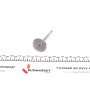 Клапан (впуск) VW Caddy 1.9SDI 95-04 (36x7x96.5) (азотований)