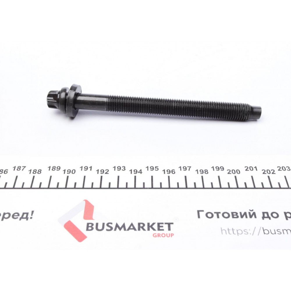 Болти головки (к-кт 10шт.) Citroen Berlingo 2.0HDI 99-06