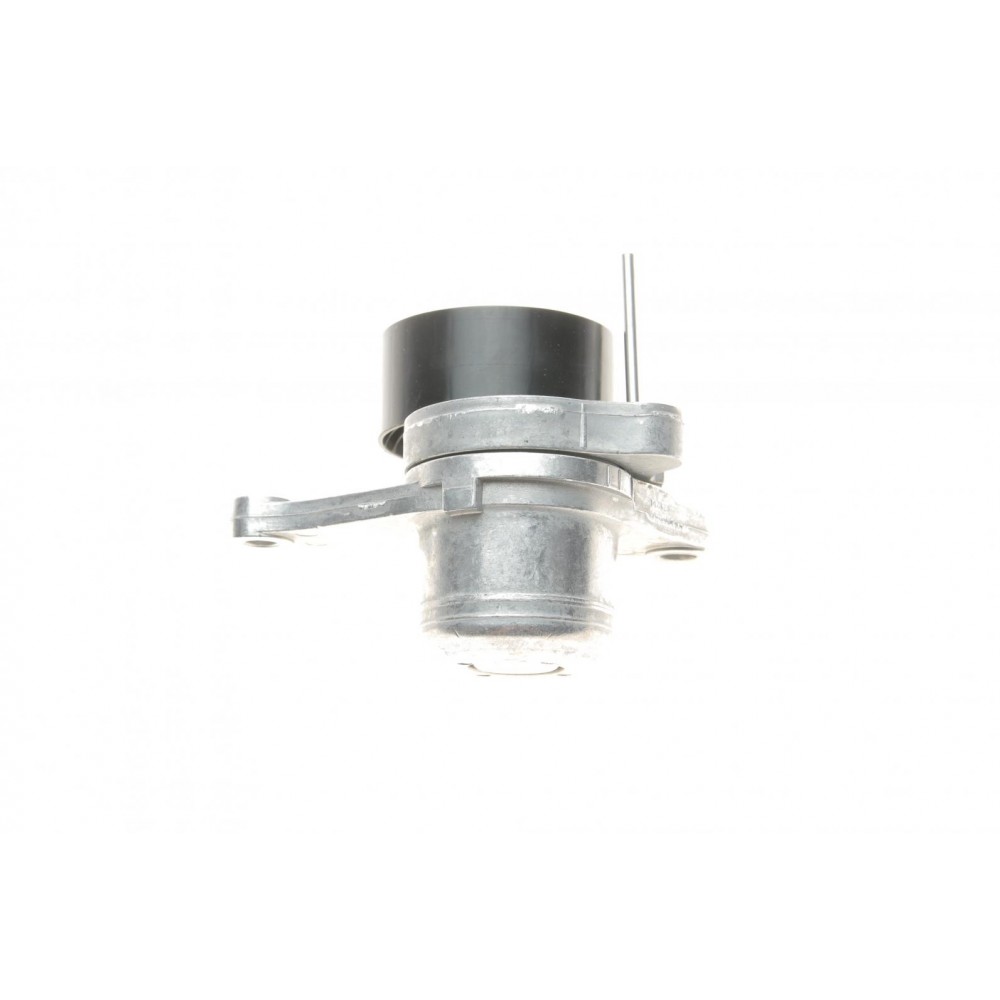 Комплект ременя генератора Renault Megane II/III 2.0 dCi 05- (7PK1705)