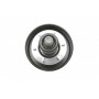 Ролик ГРМ Hyundai Santa Fe/Kia Sportage 2.0CRDi/2.2CRDi 06- (паразитний) (70х27)