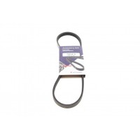 Ремінь генератора Renault Kangoo 1.6i 08-/ Nissan Micra1.0-1.4 92-03