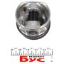 Поршень VW Jetta/Golf/Caddy 1.6TDI 05- (79.75mm/+0.25)