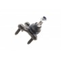 Опора кульова (передня/знизу/R) Audi A3/Seat/Skoda Octavia/SuperB/VW Caddy/Golf/Touran/Tiguan 03-