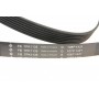 Комплект ременя генератора Renault Clio III 2.0 16V 06-14 (7PK1135)