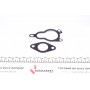 Клапан EGR Renault Trafic 2.0dCi 10- (EV128)