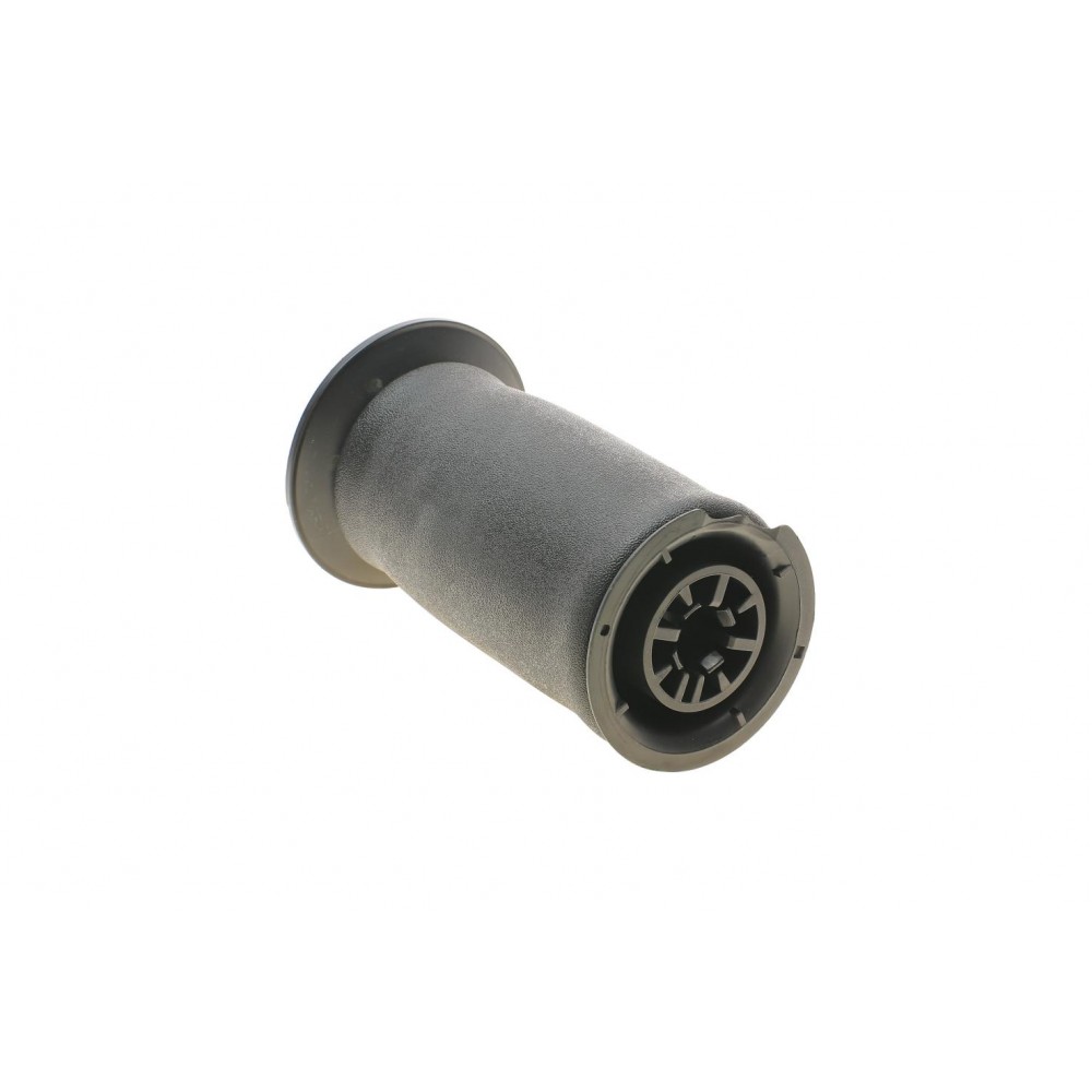 Подушка пневмопідвіски (ззаду) BMW 5 (E61) 04-10 N43/N47/N52/N62 (5602AB)