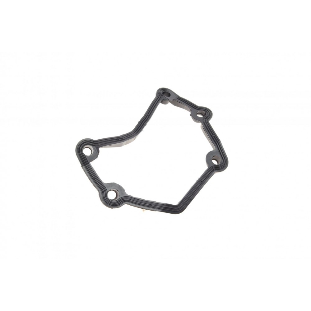 Прокладка кришки клапанів BMW 3 (E46/E90)/5 (E60) 1.8-2.0i 01- (к-кт), N42/N46