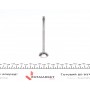 Клапан (випуск) Audi A4/A6/VW Passat 2.5TDI 97-05 (24x6x100.5) (азотований)