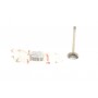 Клапан (впуск) Fiat Ducato 2.5-2.8JTD -06 (41x8x120.8)