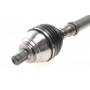 Піввісь (АКПП) VW Golf/Passat 1.9-2.0TDI (R) (36x755)