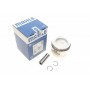 Поршень Audi 80/100/VW Golf/Passat 1.8 88-97 (81.51mm/+0.5)
