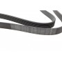 Ремінь генератора Toyota Rav 4 2.0 4WD 00-13 (7PK1593)