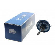 Амортизатор (передній) BMW X3 (E83) 2.0-3.0D 03-11 (R)
