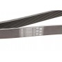 Ремінь генератора MB M-class (W163) 4.0 CDI 01-05/Jeep Grand Cherokee 5.2i 92-99