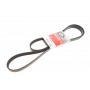Ремінь генератора Toyota Camry/Land Rover 3.5i/4.0/4.6 81-
