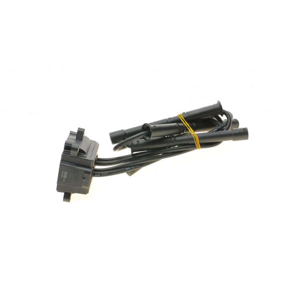 Котушка запалювання Renault Kangoo/Clio 1.2 16V 01-(к-кт) (HÜCO)