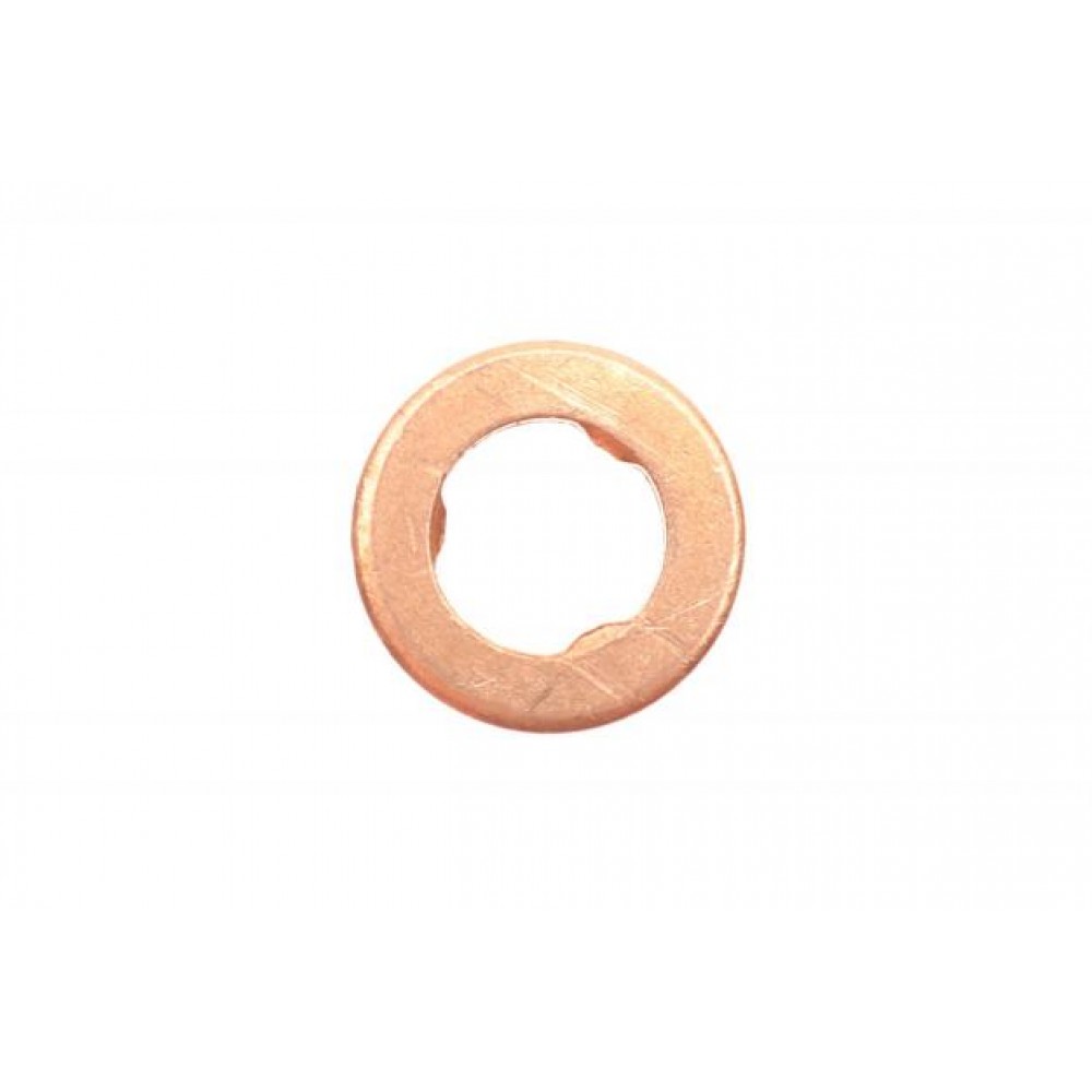 Шайба під форсунку Ford Focus 02-12/Connect 1.8 TDCi 02-13 (2 mm)