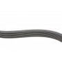 Ремінь генератора Ford Focus 1.4/1.6i 03-/Volvo C30/S40/V50 1.6 05-12 (6PK1059 ELAST+5PK868 ELAST)