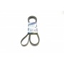 Ремінь генератора MB E-class (W211) 5.5 02-08 (M113)/Land Rover Range Rover 5.0SCV8 13- (6PK2445)