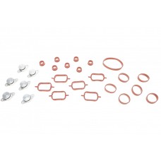 Ремкомплект колектора впускного BMW 3 (E46/E90)/5 (E39/E60)/X5 (E53/E70) 3.0d (M47) 98-11