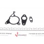 Комплект прокладок (верхній) VW T5/6 2.0 TSI 11- (замінено на 244.891)