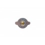 Кришка радіатора Renault Kangoo 1.5dci 03-09/Mazda 626/Honda Civic VI (1.1bar)