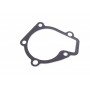 Прокладка помпи води Hyundai Elantra/i30/Kia Cee'd/Sportage 1.8/2.0/2.0LPG 11-