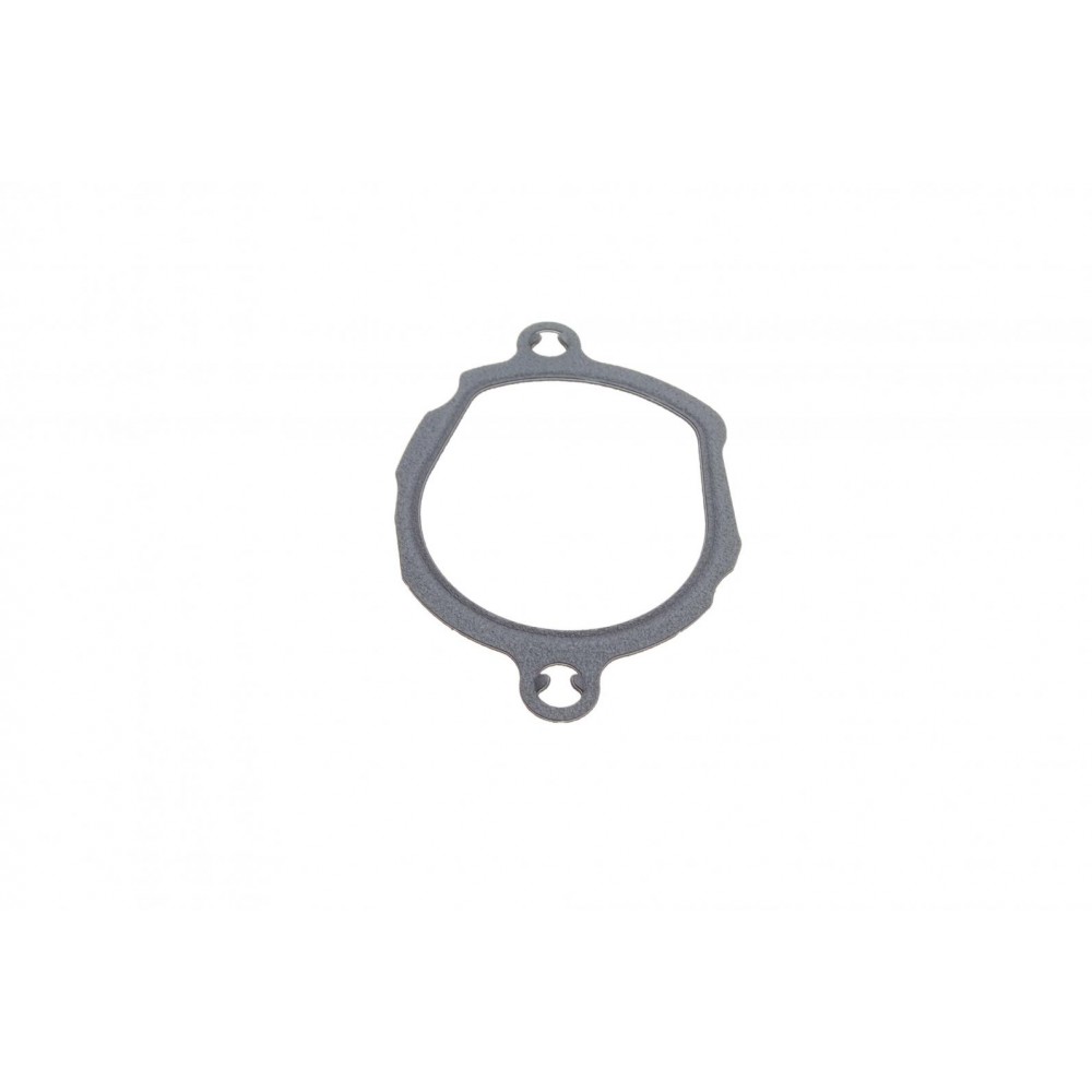 Прокладка термостату MB C-class (W203/W204) 2.5-5.5 04-