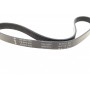 Ремінь генератора VW Golf/Skoda Octavia 2.0i 04-13/Mazda 2/3 1.5 13-/Kia Ceed/Cerato 1.4/1.6 07-