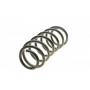 Пружина (передня) Opel Antara A 2.0CDTI/2.4/3.2 V6 06-/Chevrolet Captiva 2.0D/2.4/3.2 4WD 06- (SUV)
