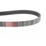 Ремінь генератора VW Passat B5/Audi A4/A6 1.6/1.8 95-