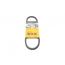 Ремінь генератора Citroen GS/Daewoo Tico/Land Rover Discovery I/Peugeot 305 II/505 78-00 (10х613)