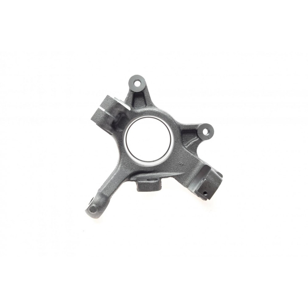 Кулак поворотний (цапфа) Renault Master 98-06 (d=22mm) (R)