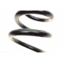 Пружина (передня) BMW X6 (E71/E72) 30d/35i 07-14 (SUV) (з Adaptive Drive)