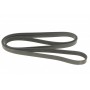 Ремінь генератора MB E-class (W124/W211) 02-08 104/M113/Land Rover Range Rover 5.0SCV8 13-