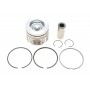 Поршень Citroen C3/C4/Berlingo/Peugeot 308/508/Partner 1.6 BlueHDi 14- (75.00mm/STD)
