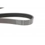 Ремінь генератора Ford Focus 1.8/2.0 04-12 (6PK1249)