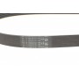 Ремінь генератора VW Golf III/Passat/T4 1.9D/TD 90-04/Opel Corsa F 1.2 19-/Fiat Scudo 1.9D 98-06