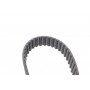 Комплект ГРМ VW Passat/Audi A4 1.9 TDI 95-01 (137x25)