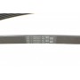 Ремінь генератора MB A-class (W169)/B-class (W245) 1.5-2.0 04-12/Opel Insignia 2.0T 13-17