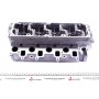 Головка блоку циліндрів VW Caddy 2.0TDI 10-