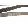 Ремінь генератора Honda Accord VIII 2.0 I 08-/ Land Rover Range Rover II 3.9-4.6 94-02