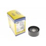 Ролик генератора Mitsubishi Carisma/Space 1.9DI-D 00-06 (паразитний) (60х25,5) (MPQ0014)