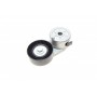 Натяжник ременя генератора Nissan X-Trail/Qashqai/Renault Clio/Fluence/Laguna III 2.0 16 V 07-