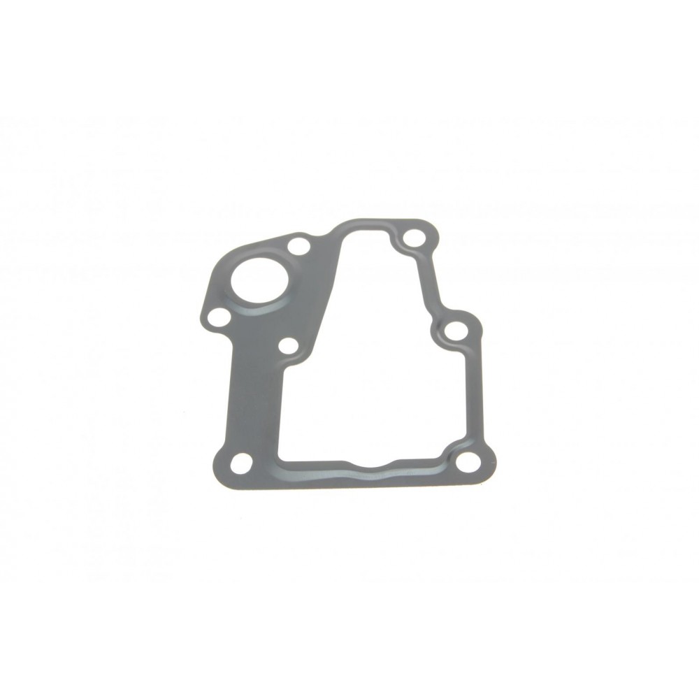 Прокладка термостату Citroen C4/C5/Peugeot 307/308/407 04-