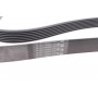 Ремінь генератора Hyundai H-1/Kia Sorento 2.5CRDi 06-/Land Rover Defender/Discovery 2.5Td5 98-