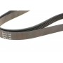 Ремінь генератора Peugeot 605 2.0 89-99/ Ford Fiesta1.8 95-03/ Honda Civic/ Fit/ Jazz 1.2-1.4 02-