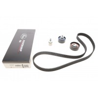 Комплект ГРМ Chery A3/A5/E5/Easter/Tiggo 1.6-2.0 06- (25x173z)